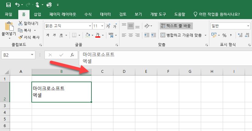셀 경계 이미지