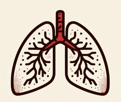 만성 폐쇄성 폐 질환