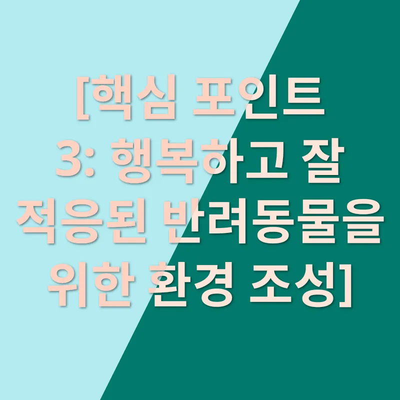 반려동물 선택 및 관리_2