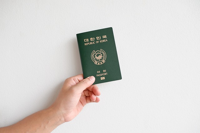 대한민국 여권 발급 재발급 여권 민원실 정보