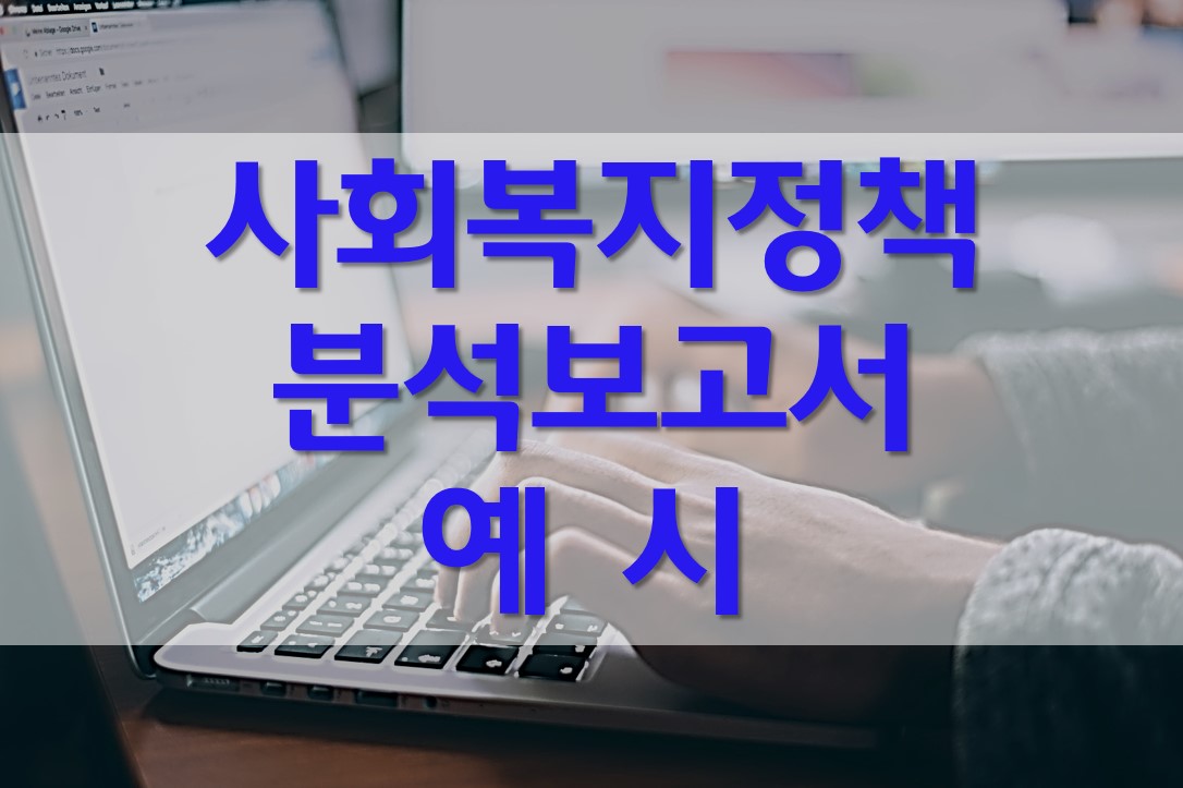  사회복지 정책 보고서 예시/정책개발 및 평가