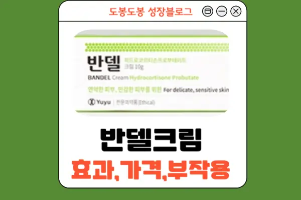 반델크림 안내 이미지
