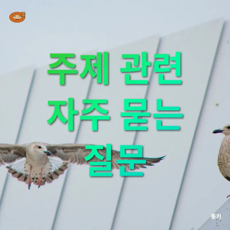 생로랑 X 로제_4