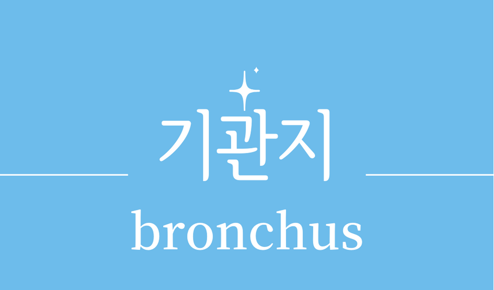 &#39;기관지(bronchus)&#39;