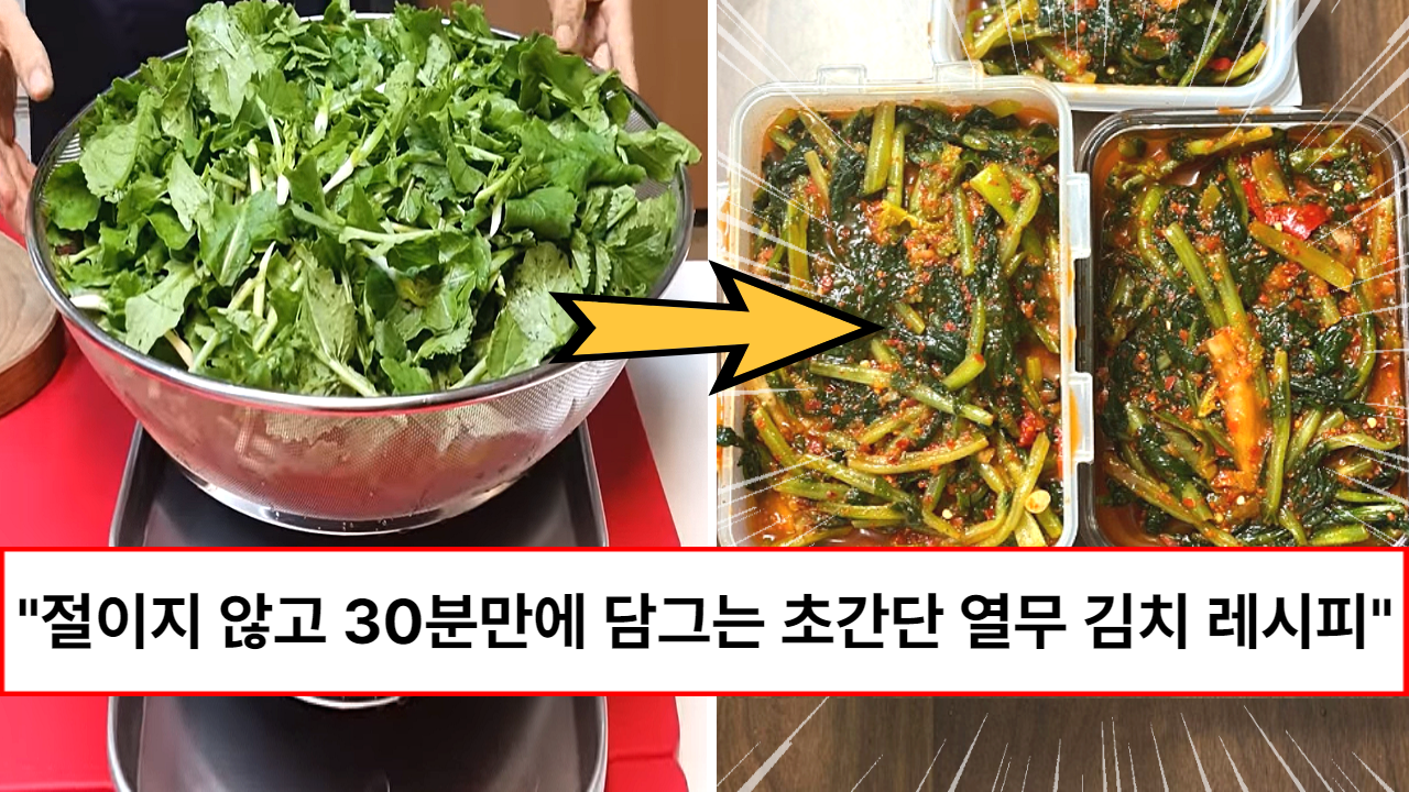“초보도 100% 성공하는 레시피입니다” 절이지 않고 30분안에 바로 담그는 여름 열무김치 레시피 “초보도 100% 성공하는 레시피입니다” 절이지 않고 30분안에 바로 담그는 여름 열무김치 레시피