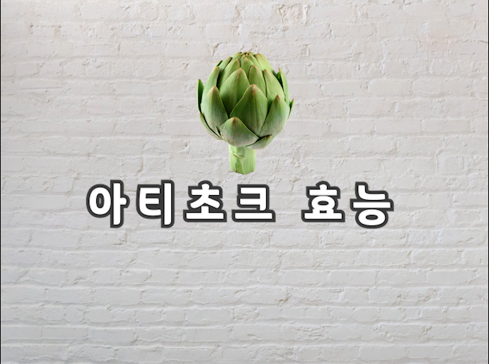  아티초크 효능 제대로 알고 먹어야 좋아요