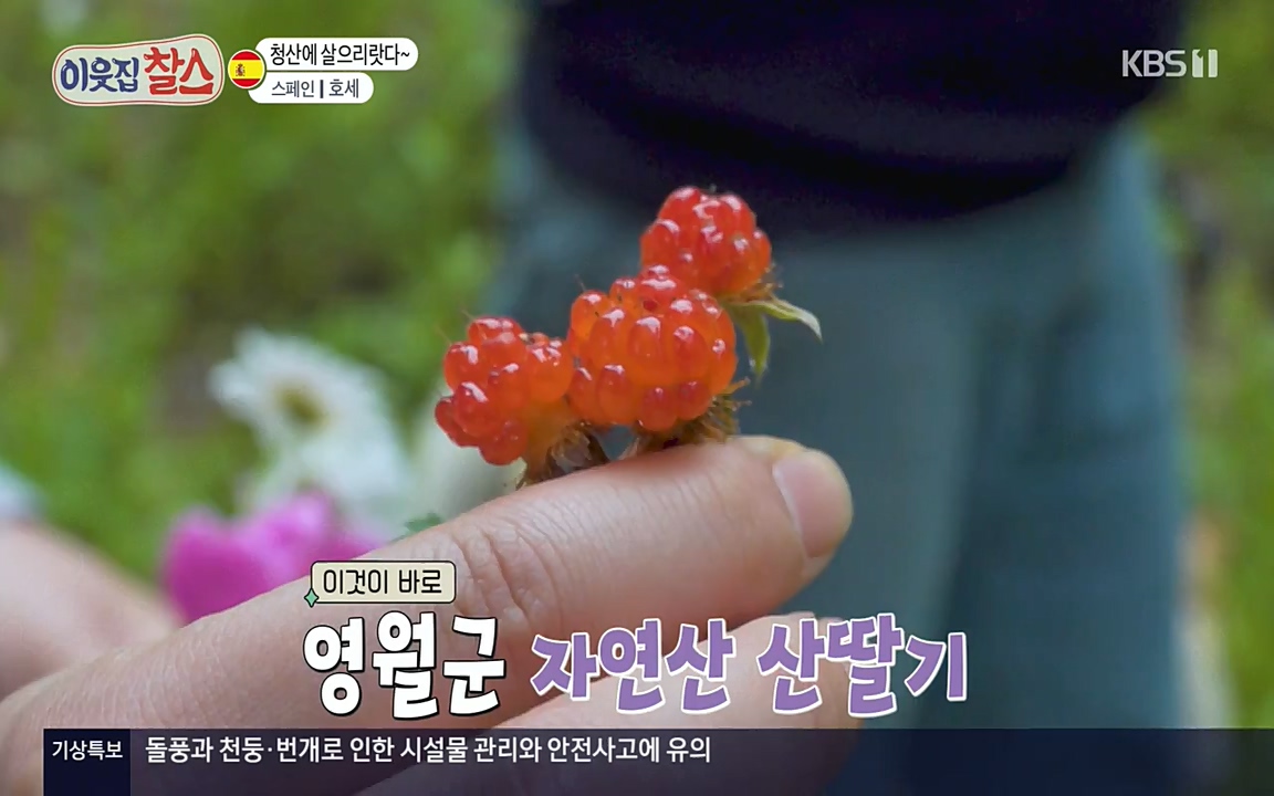 이웃집 찰스.E346.220713p-NEXT.mp4_20220713_182247.851.jpg