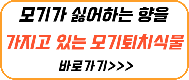 모기-퇴치-식물