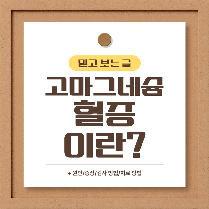  고마그네슘혈증 이란?