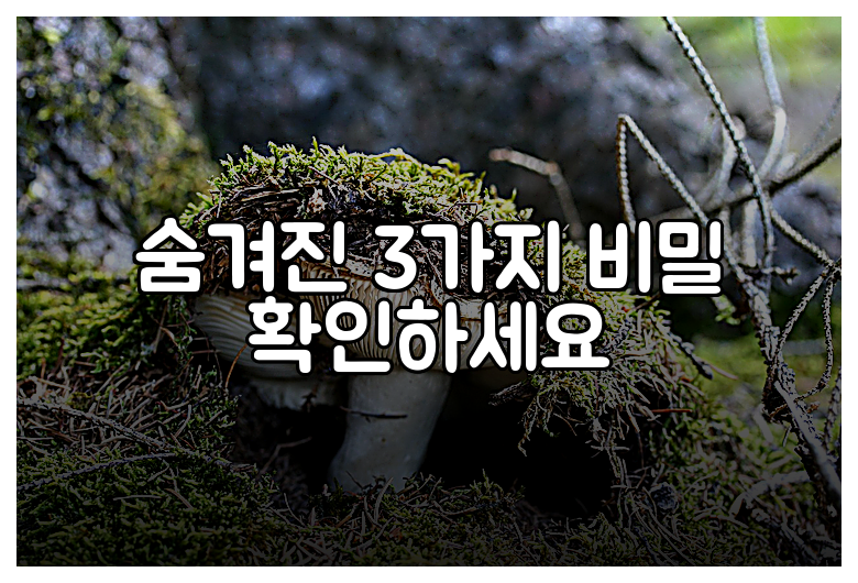 숨겨진 3가지 비밀 확인하세요