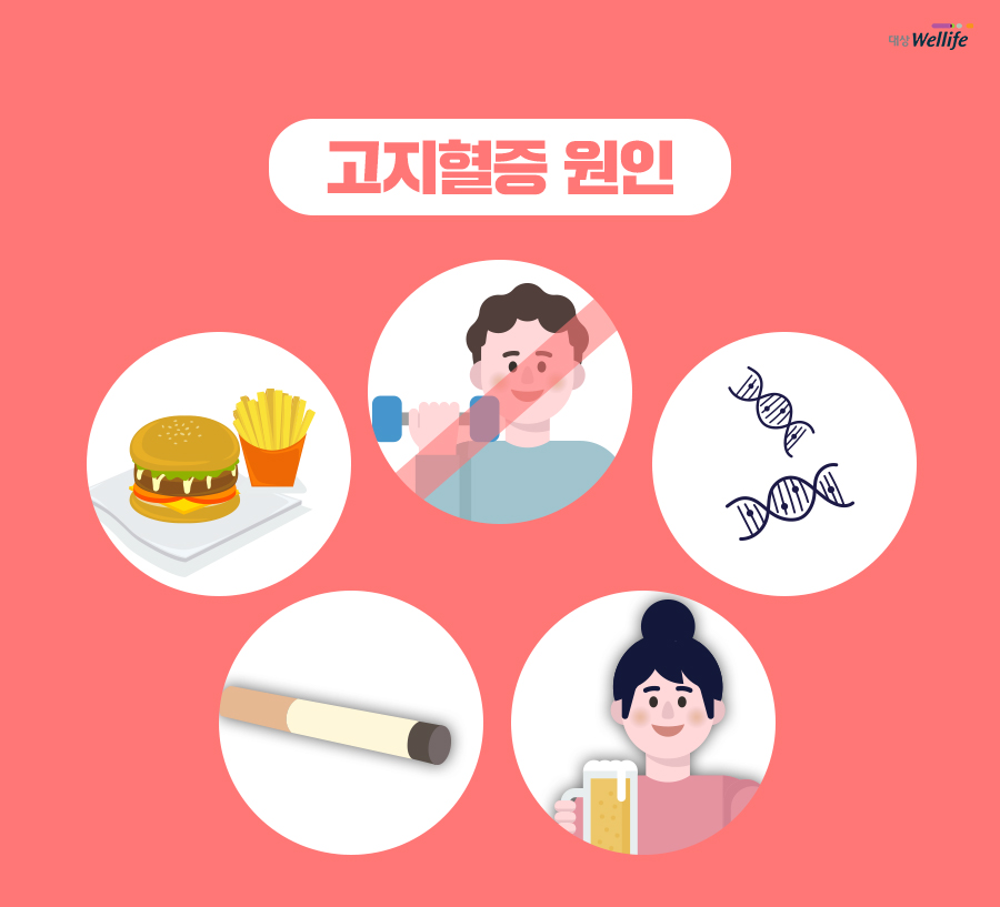 알고 생활습관과 식단으로 관리하자! 고지혈증의 원인은 바로 8
