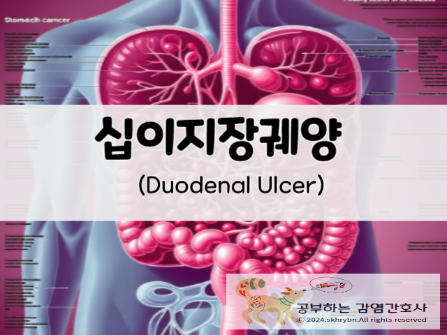 성인 간호_십이지장 궤양(duodenal ulcer)원인, 치료, 증상, 약, 간호 진단
