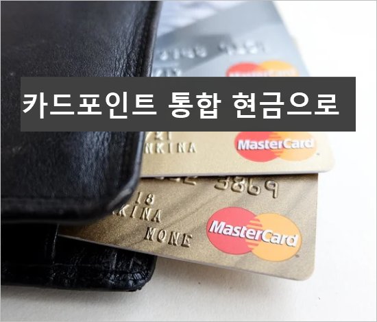 신용 카드포인트통합조회 시스템 현금화 위해 카드포인트 현금전환 하는 방법