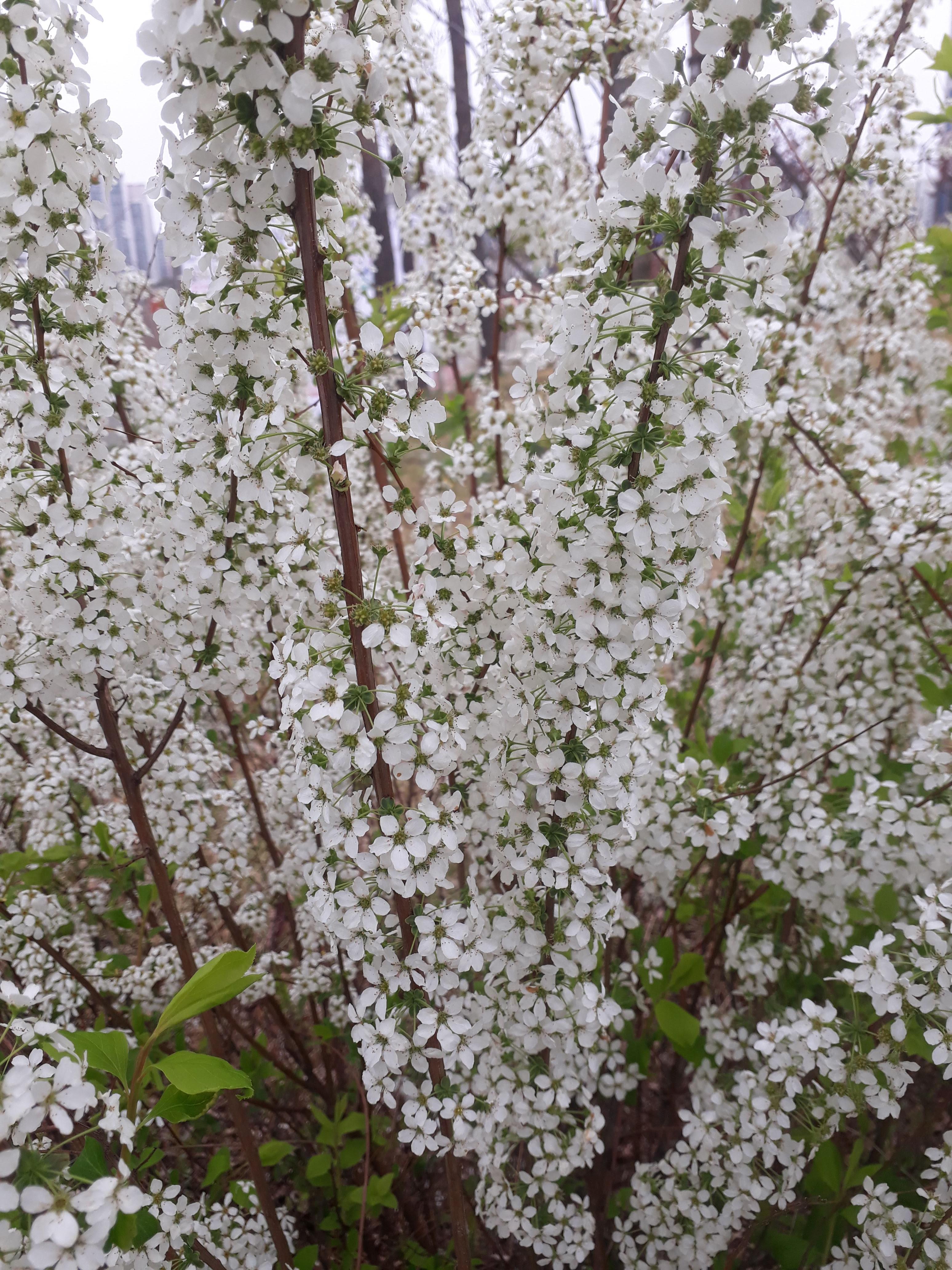  옥정 체육공원