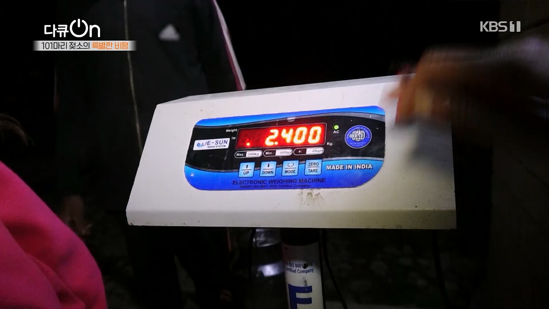 다큐 On.E184.230203p.H264-F1RST.mp4_20230211_175643.632.jpg