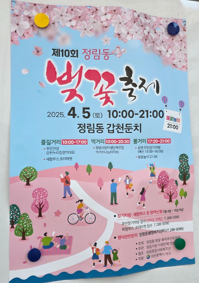 2025 대전 벚꽃축제 벚꽃명소 일정 주차 04