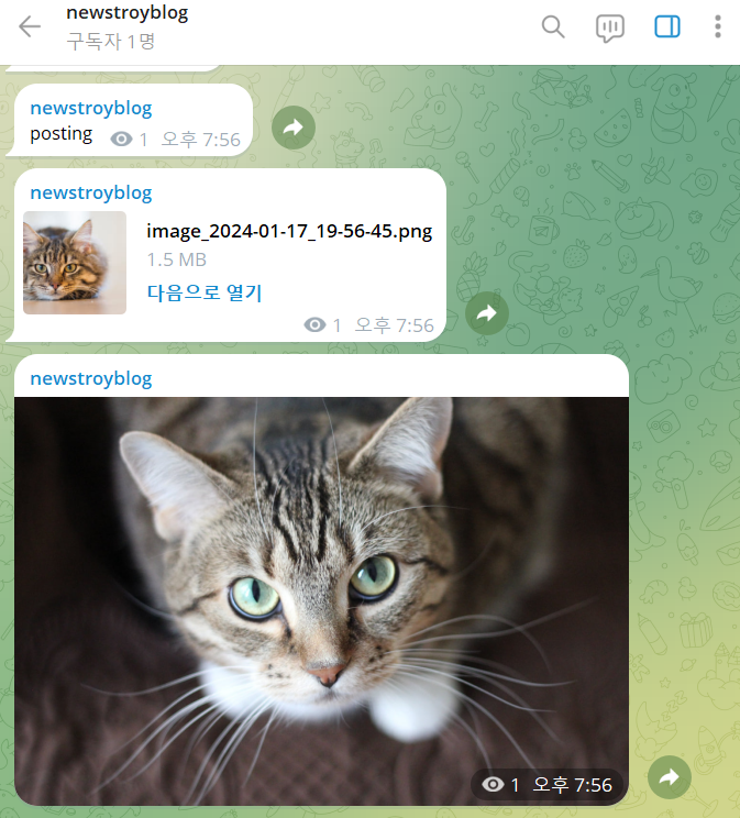  텔레그램 그룹/채널 메세지 상황별 전체 삭제방법 2가지