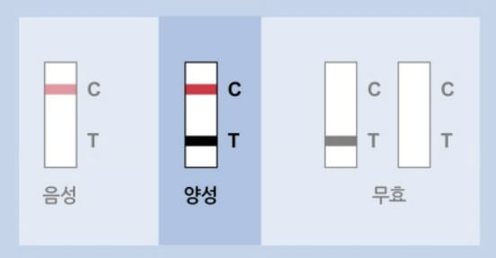 자가검사키트-두줄