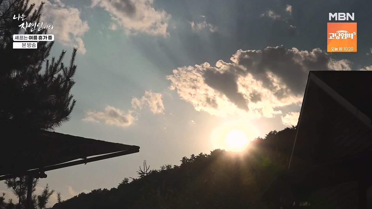 나는 자연인이다.E611.240627p-NEXT.mp4_20240627_195607.411.jpg