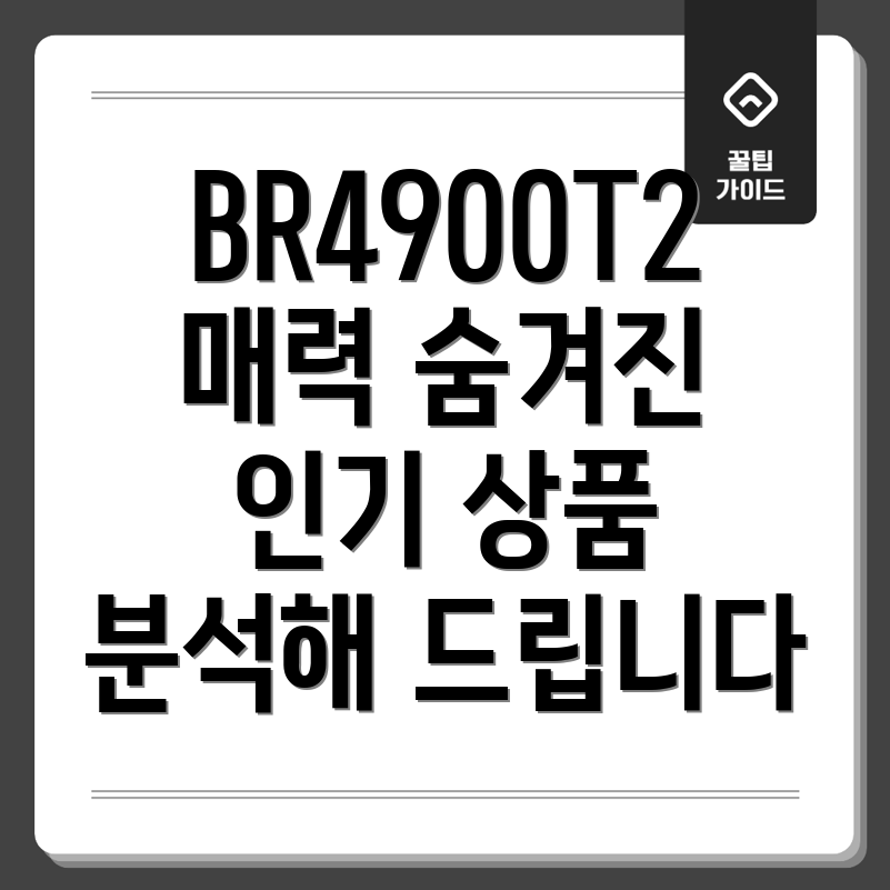 BR4900T2브리츠이제야알게된매력숨겨진인기상품분석