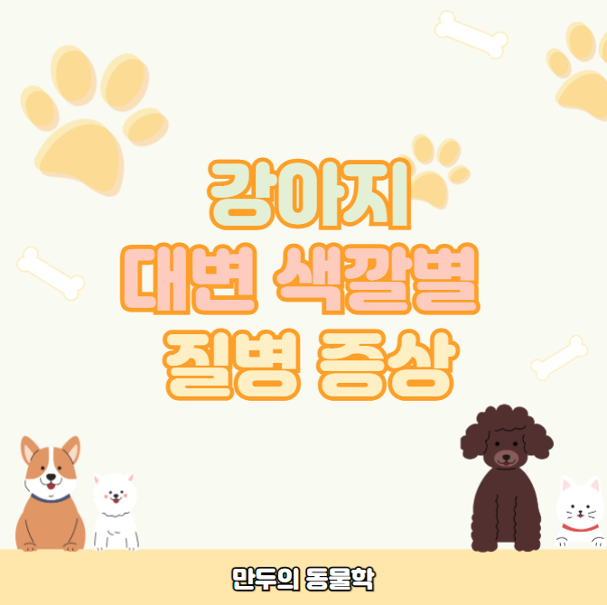 강아지대변색깔별질병증상