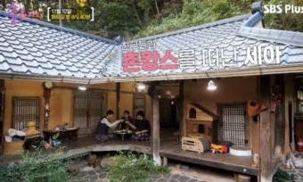 시골 감성 가득한 촌캉스 여행지 추천 베스트 리스트_34