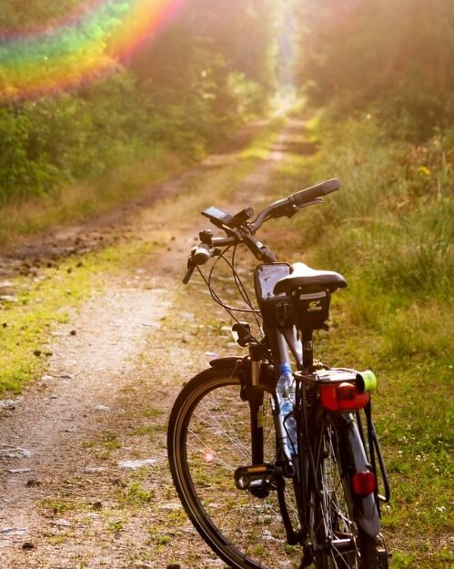 숲길에-세워져있는-자전거-한대