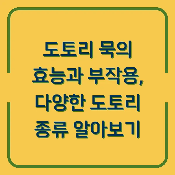 도토리 묵의 효능과 부작용, 다양한 도토리 종류 알아보기