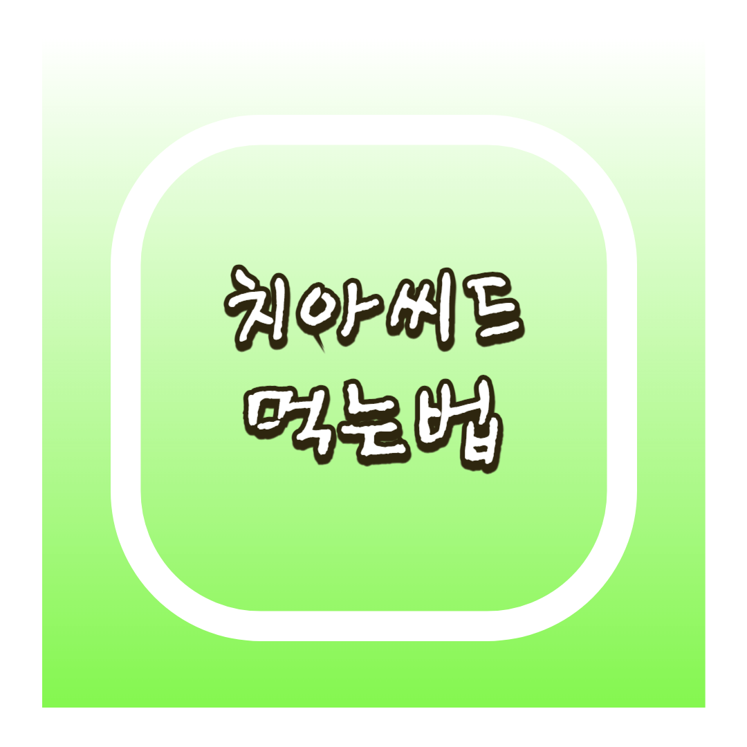 치아씨드 먹는법