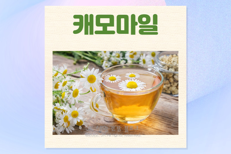  캐모마일 효능 및 카모마일 캐모마일차 부작용