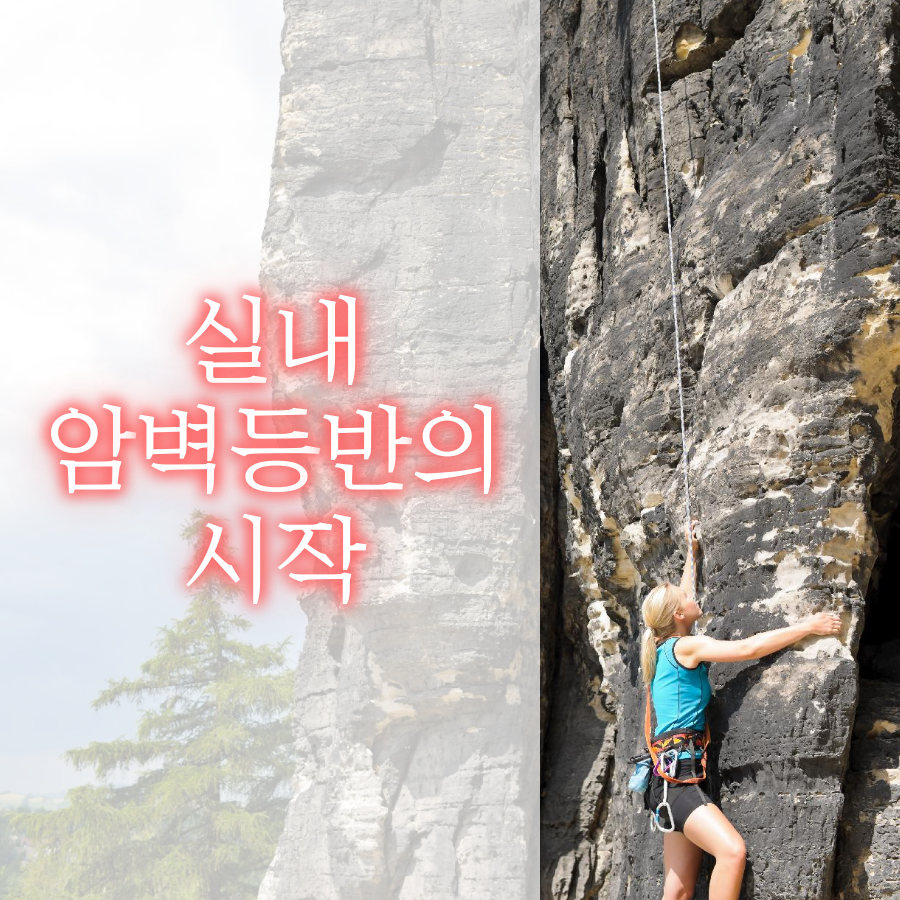  실내암벽등반의 시작