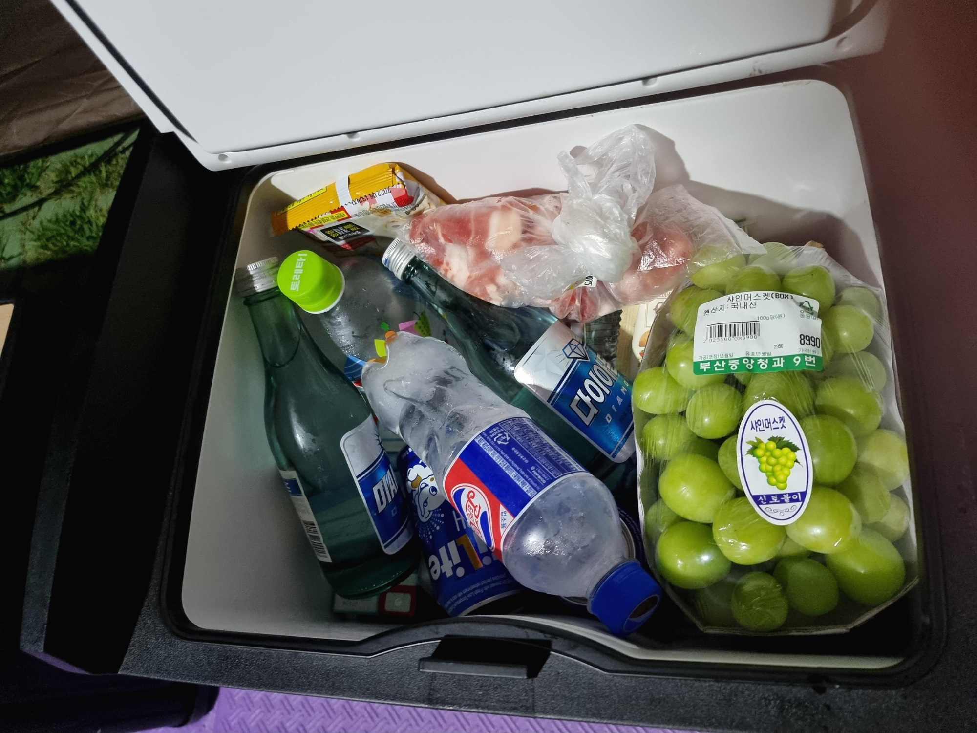  캠핑 냉장고추천 - 파세코 캠핑 온냉장고  사용리뷰