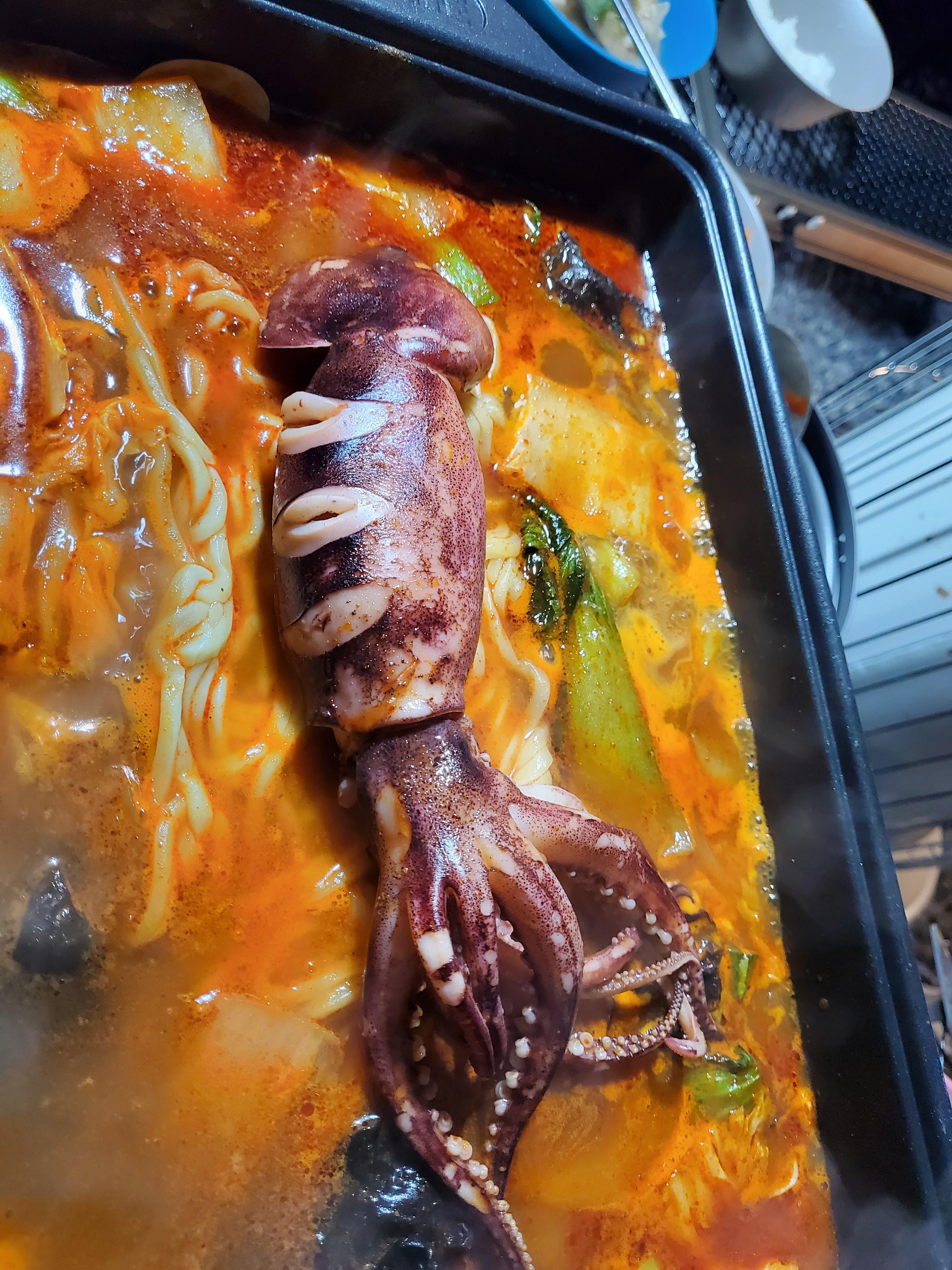 캠프하다 이미지