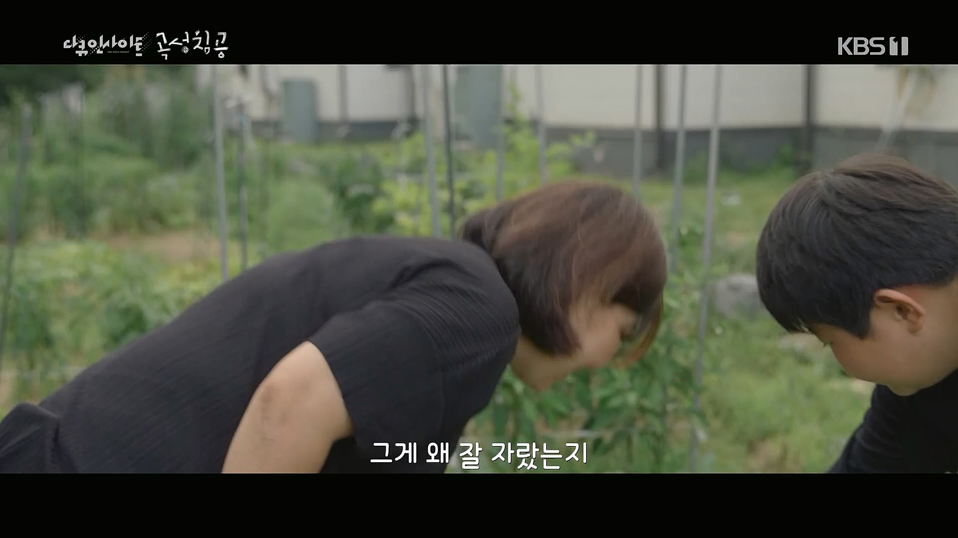 다큐 인사이트.E140.230202p.H264-F1RST.mp4_20230204_191232.501.jpg