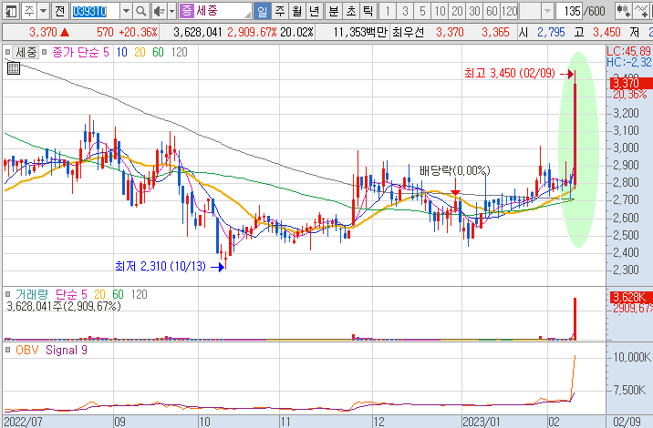 세중-주가-흐름-차트