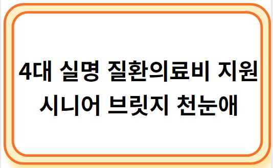 4대 실명 질환 의료비 지원 &#39;시니어 브릿지 첫눈애&#39;