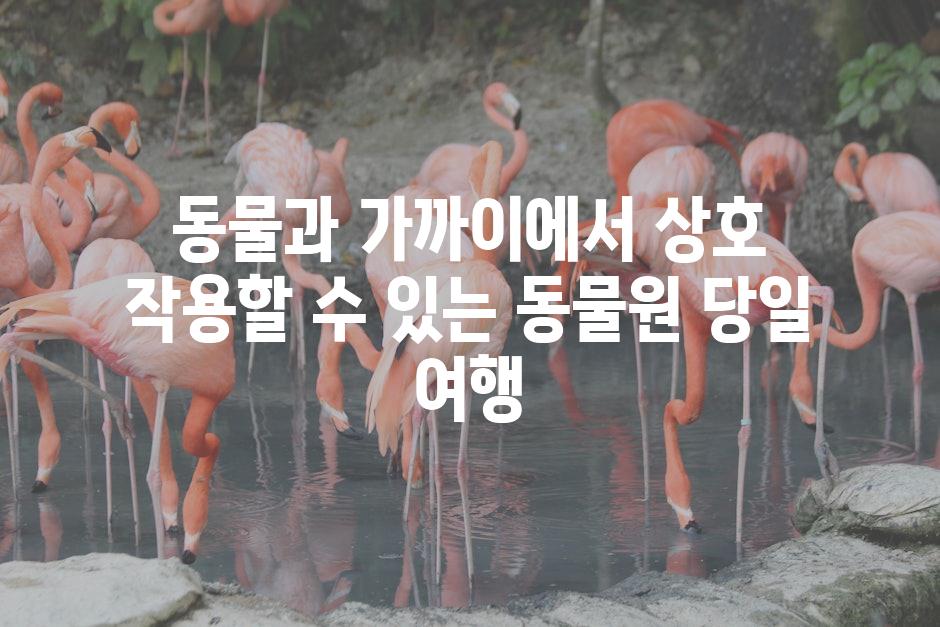 동물과 가까이에서 상호 작용할 수 있는 동물원 당일 여행