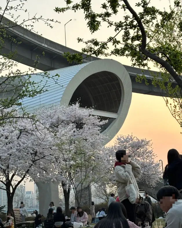 뚝섬유원지4