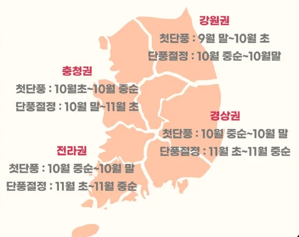 2024 단풍시기