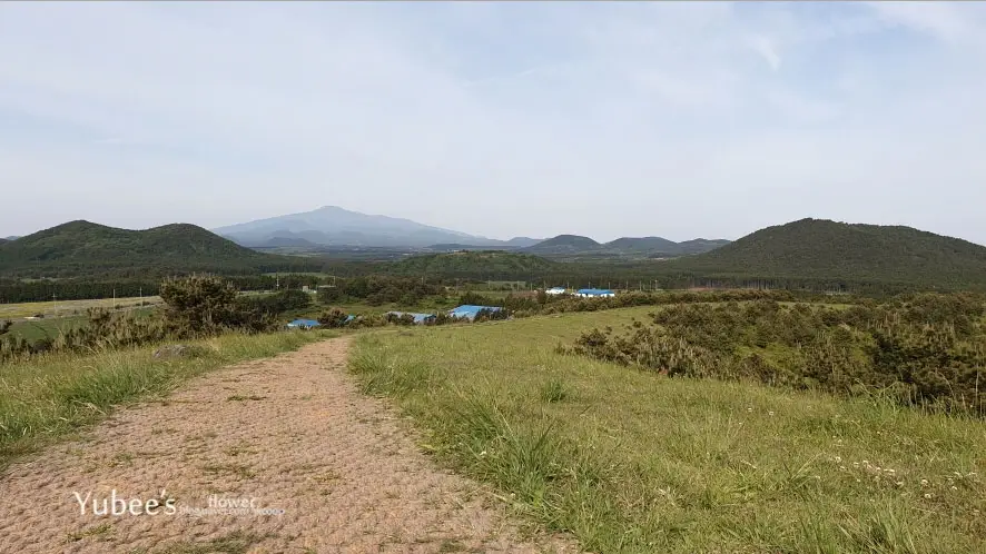 아부오름 정상에서 본 제주 한라산