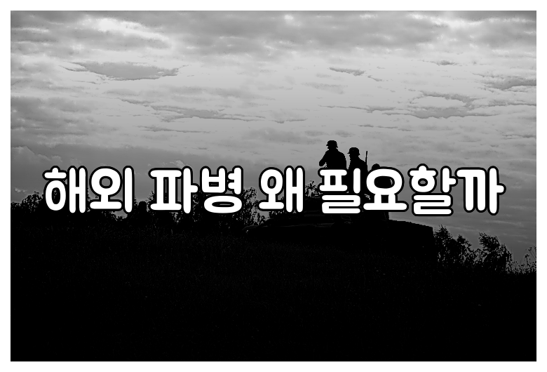 해외 파병 왜 필요할까