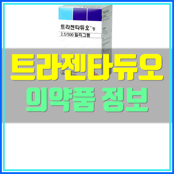 트라젠타 듀오정 2.5/500 복용법