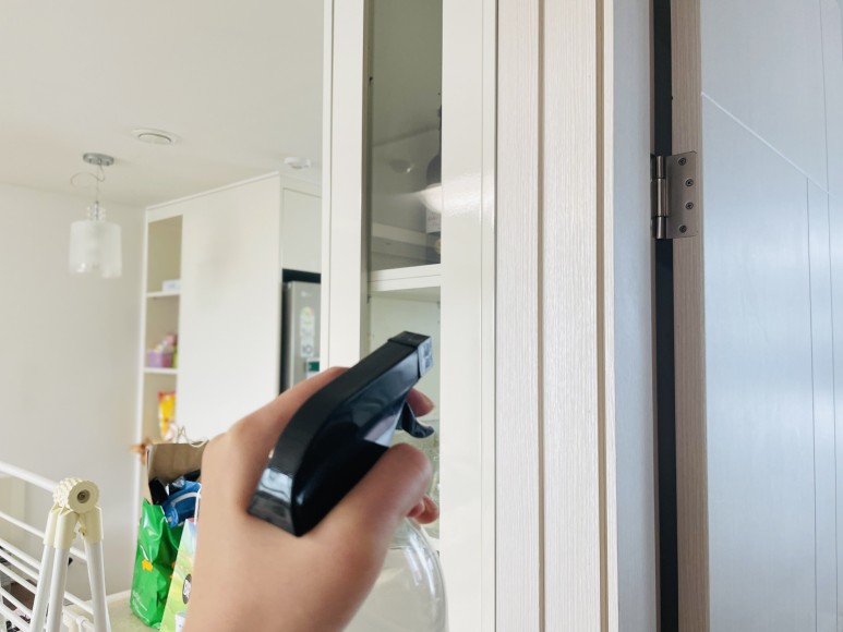 초파리 벌레 극혐오 4가지 활용법 7