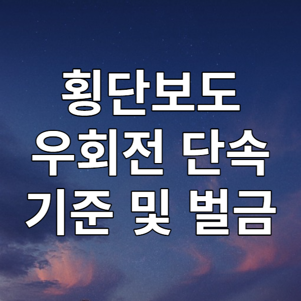  횡단보도 우회전 단속 기준, 벌금 자세히 알아보기