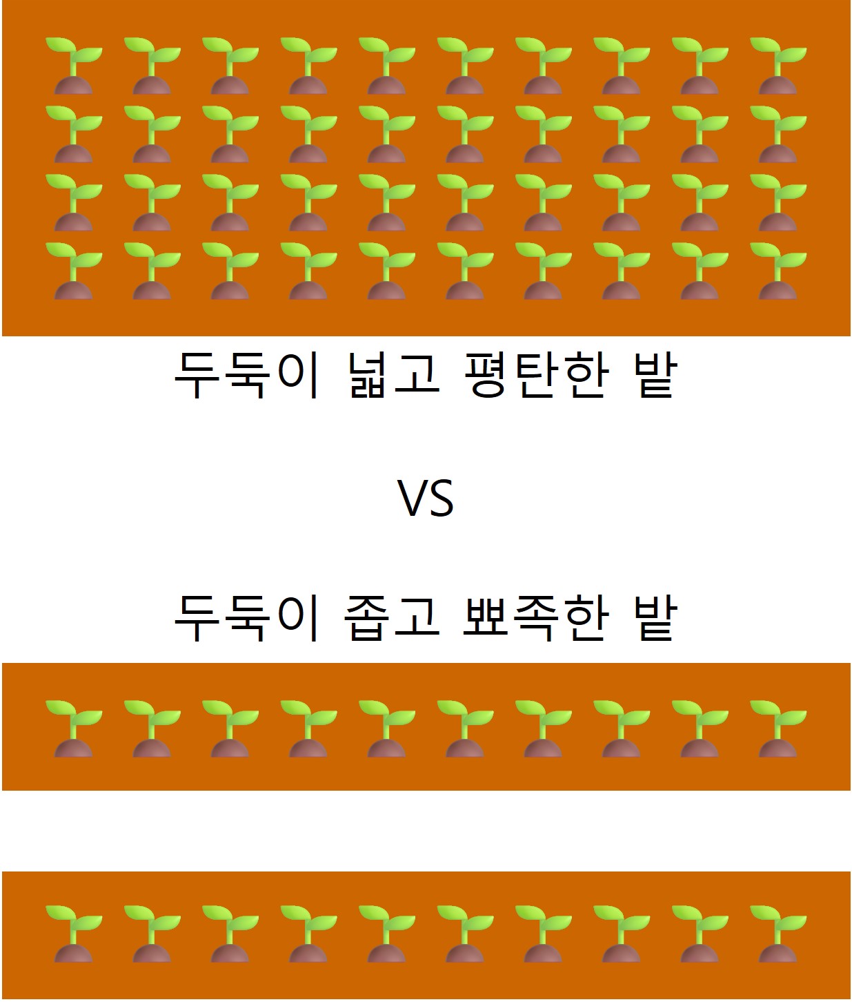 차무차무1 이미지