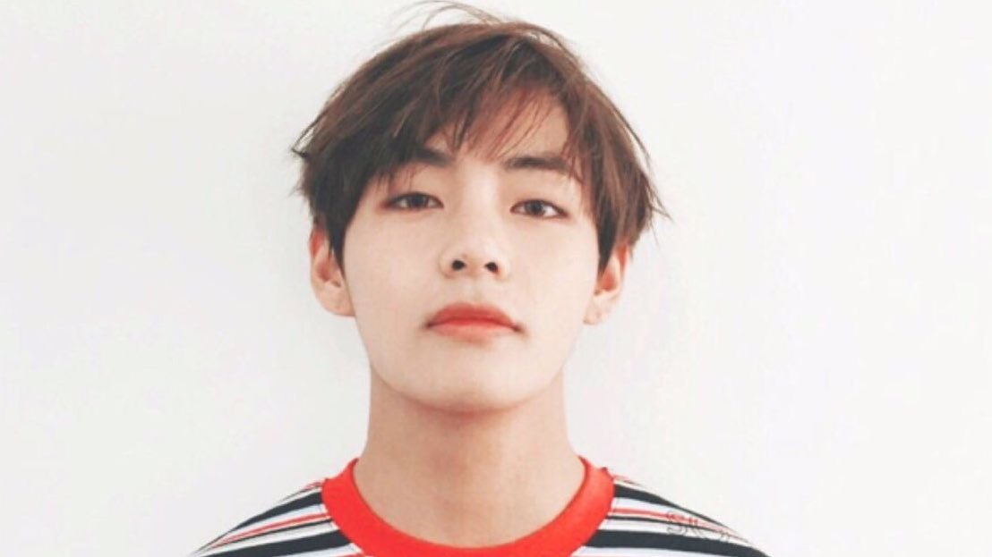  BTS 방탄소년단 뷔 닮은꼴 주토피아 닉