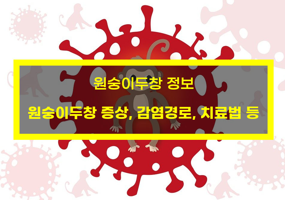  원숭이두창 괜찮을까? 원숭이두창 증상 및 감염경로