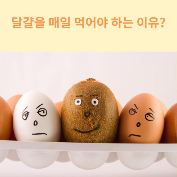  달걀을 매일 먹어야 하는 이유?