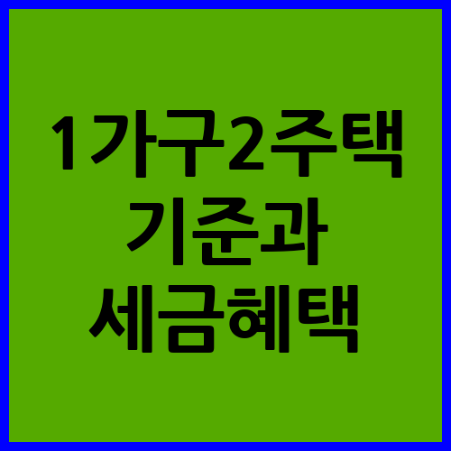 1가구 2주택 기준