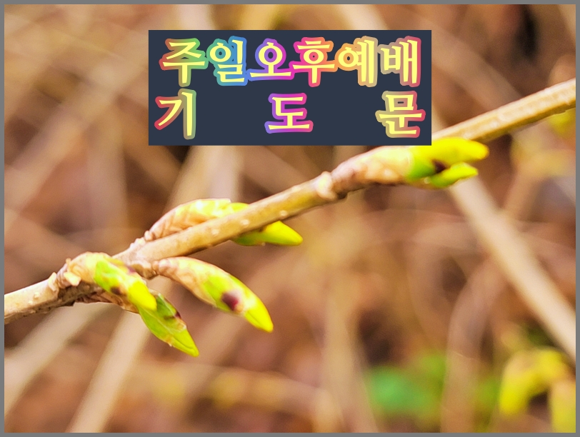  주일오후 대표기도문, 3월 첫주